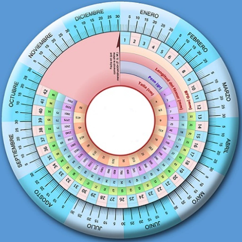 calculadora embarazo gestograma