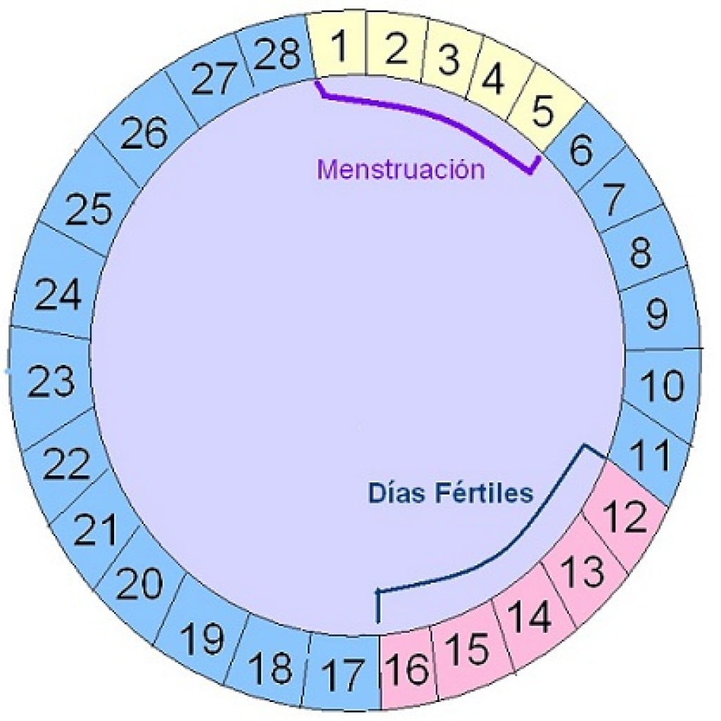 calendario ovulacion días fértiles